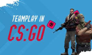 CS:GO Team Roles