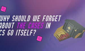Why should we forget about the cases in cs go itself?