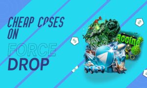 Cheap cs go cases – Forcedrop