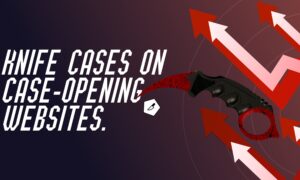 Knife cases on websites with cases
