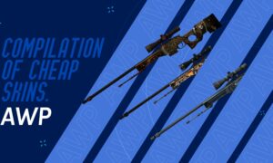 A selection of cheap skins on AWP