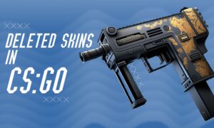 Skins that have been permanently deleted