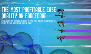 The most recouped quality of the cs go case on ForceDrop