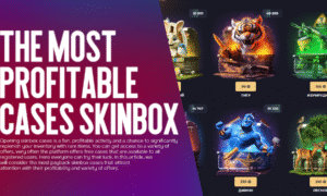 The most profitable cases SKINBOX