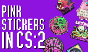 Pink stickers CS2
