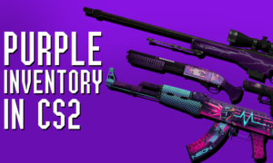 Purple inventory CS2 (CSGO)