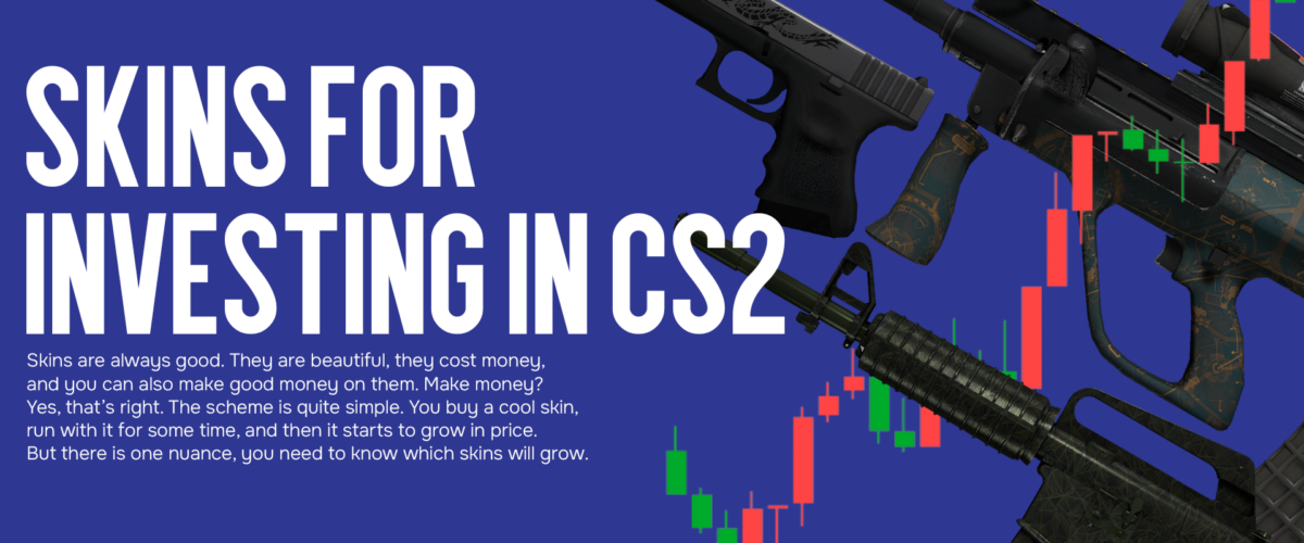 What to invest in CS2 in 2024. What skins to buy?