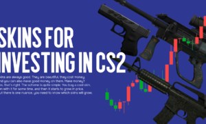 What to invest in CS2 in 2024. What skins to buy?