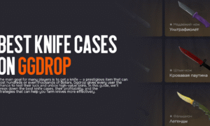 Best Knife Cases on Ggdrop