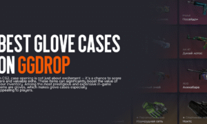 Best Glove Cases on Ggdrop: Which Ones Actually Drop High-Value Skins?