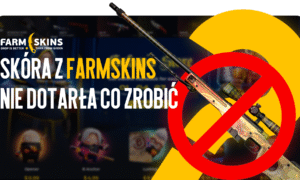 What to Do If a Skin Didn’t Arrive from FARMSKINS