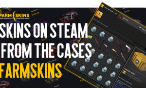 FARMSKINS Case Skins in Steam Inventory