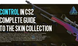 Control in CS2 — Complete Guide to the Skin Collection