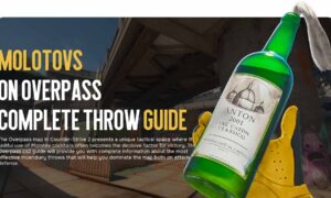 Molotovs on Overpass: Complete Throw Guide