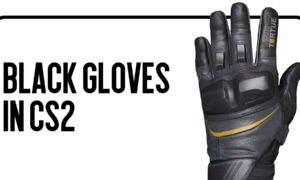 Black Gloves CS2: Top Models and Current Prices 2025