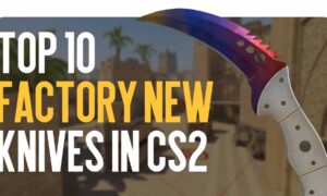 TOP-10 Factory New Knives in CS2 Valued by Collectors