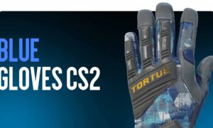 Blue Gloves CS2 — The Most Stylish Options for Your Collection