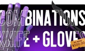 Best “Knife + Gloves” Combos Under $500: The Optimal Set for 2025