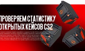 Проверяем статистику открытых кейсов Counter-Strike 2