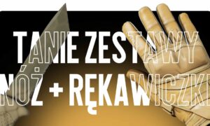 TOP-15 tanich zestawów „nóż + rękawice”