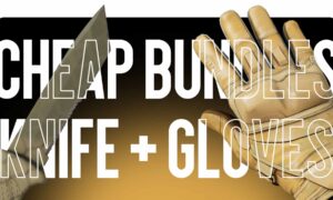 TOP-15 Cheap “Knife + Gloves” Combos