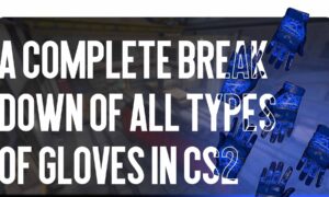 CS2 Glove Types: Full Breakdown