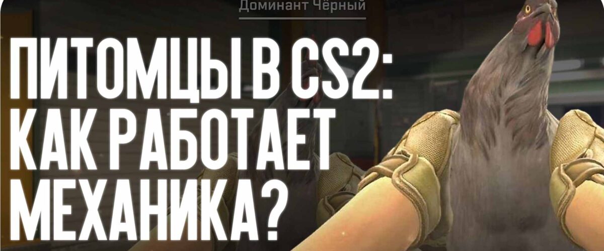 Питомцы в CS2: как работает механика?