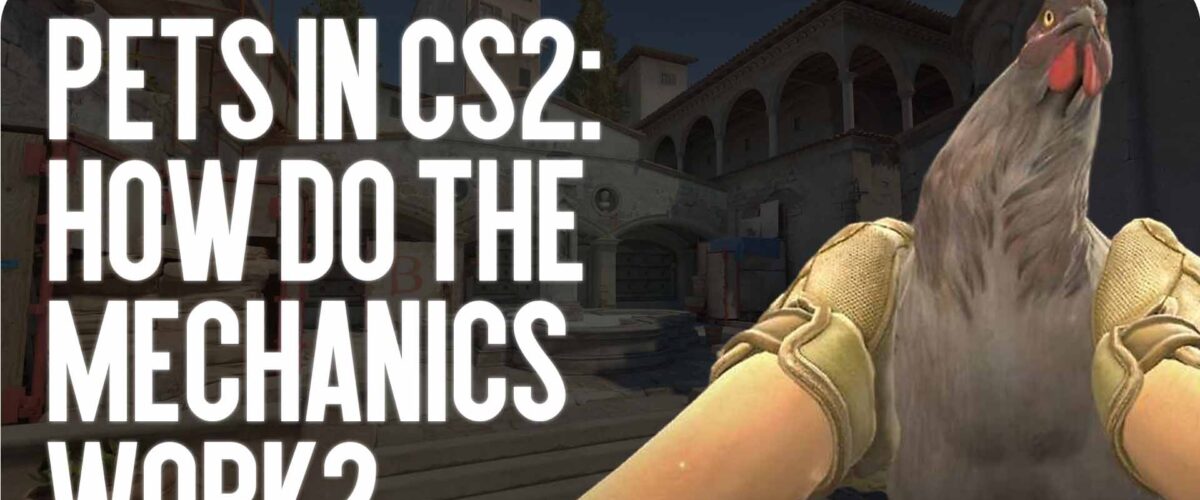 Pets in CS2: How Does the Mechanic Work?