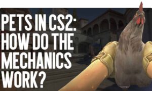 Pets in CS2: How Does the Mechanic Work?