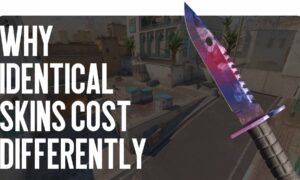 Why Identical Skins Cost Differently