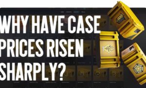 Why Have Case Prices Risen Sharply?