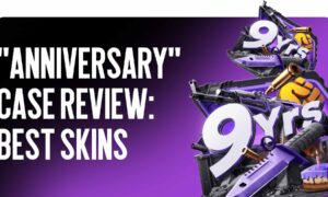 Anniversary Case Review: Best Skins