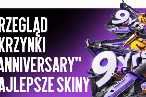 Przegląd skrzyni «Anniversary»: najlepsze skiny