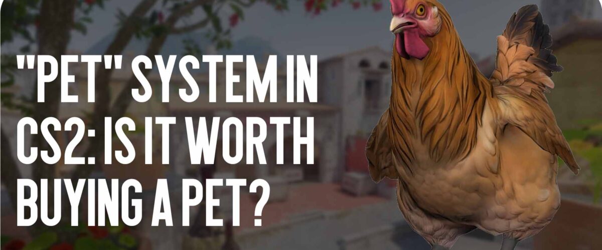 Pet System in CS2: Is It Worth Buying a Pet?