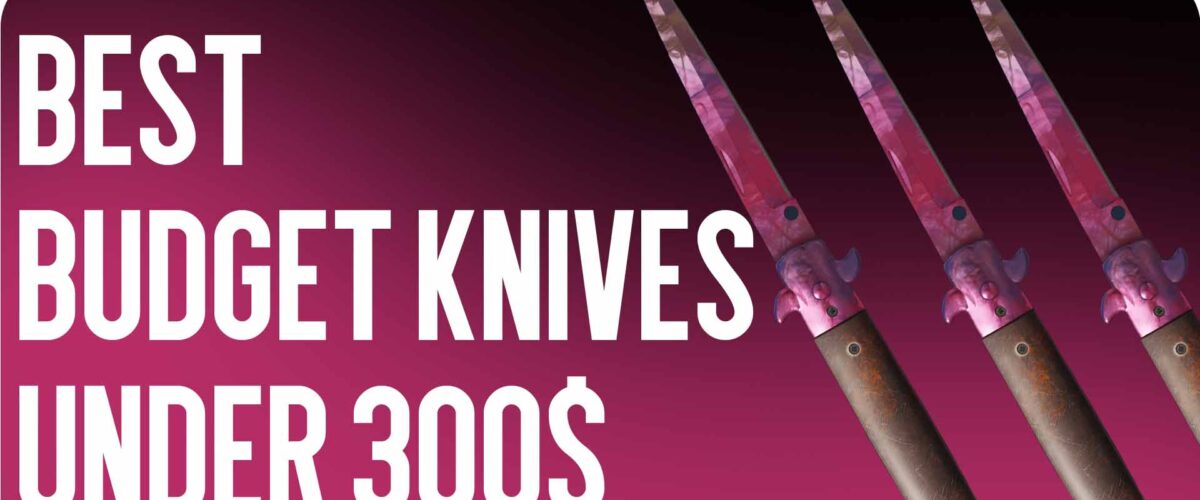Best Budget Knives Under $300
