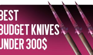 Best Budget Knives Under $300