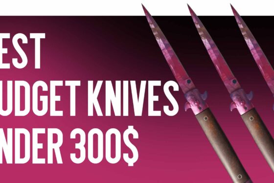 Best Budget Knives Under $300