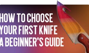 How to Choose Your First Knife: A Beginner’s Guide