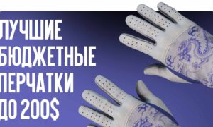 Лучшие бюджетные перчатки до $200