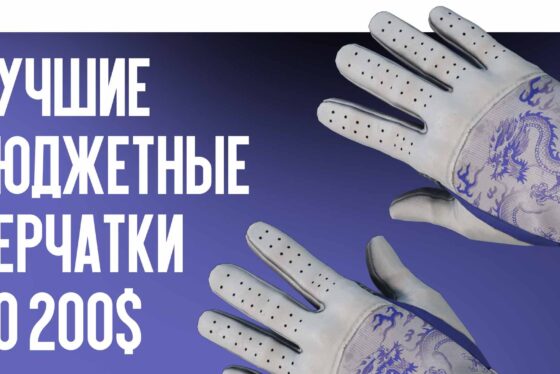 Лучшие бюджетные перчатки до $200