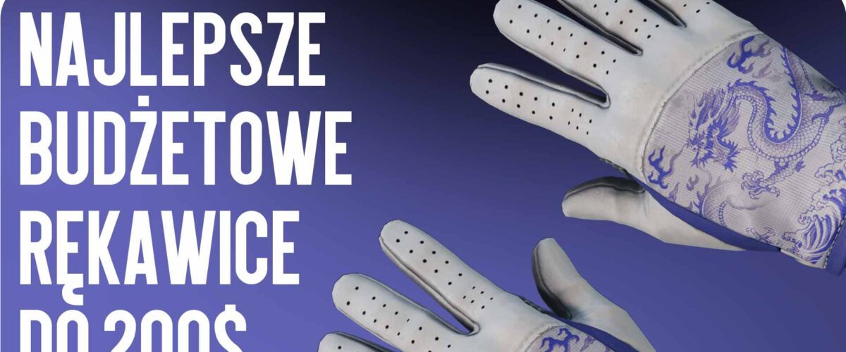 Best Budget Gloves Under $200