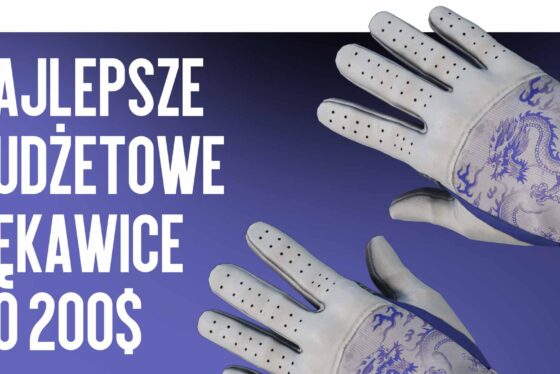 Best Budget Gloves Under $200