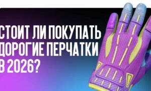 Стоит ли покупать дорогие перчатки в 2026?