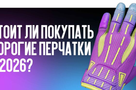 Стоит ли покупать дорогие перчатки в 2026?