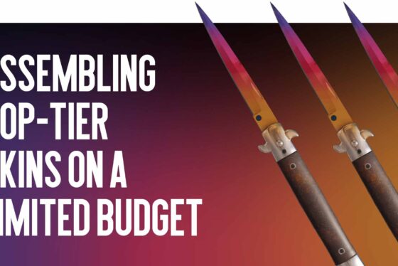 The Perfect Build: Assembling Top-Tier Skins on a Limited Budget