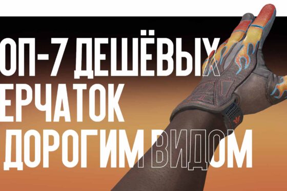 Топ-7 дешёвых перчаток с дорогим видом