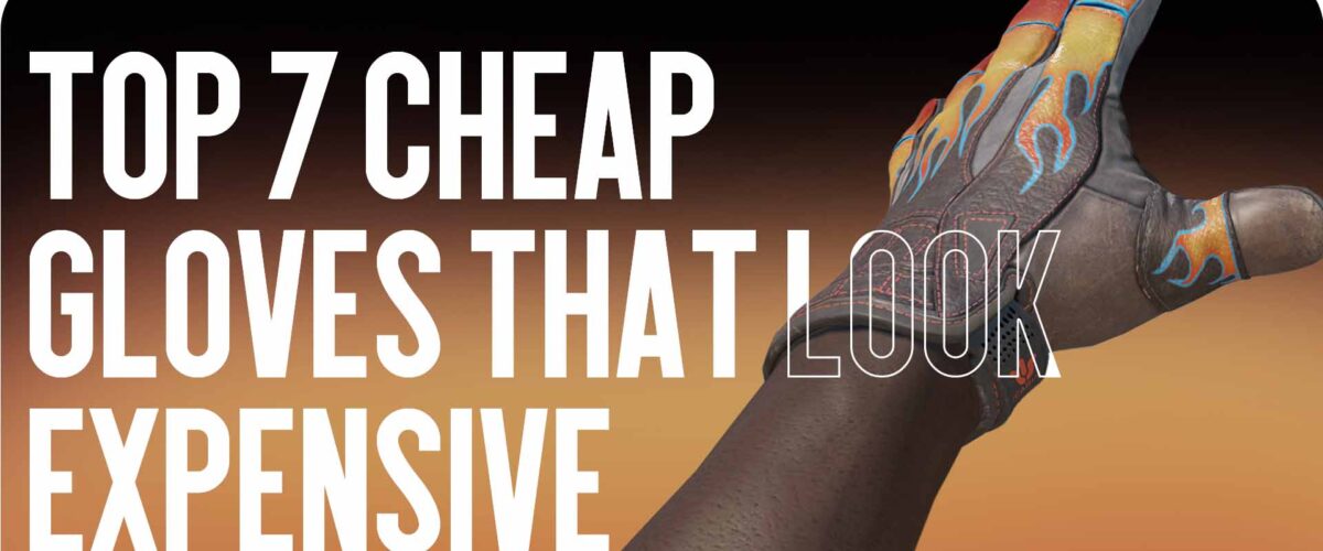 Top 7 Cheap Gloves That Look Expensive
