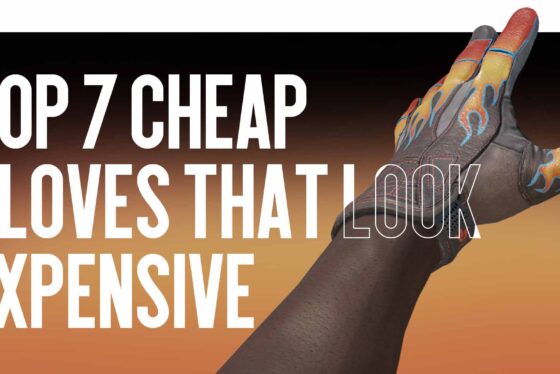 Top 7 Cheap Gloves That Look Expensive