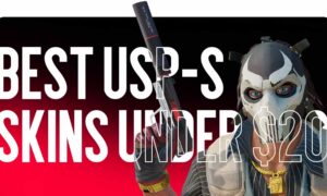 Best USP-S skins under $20