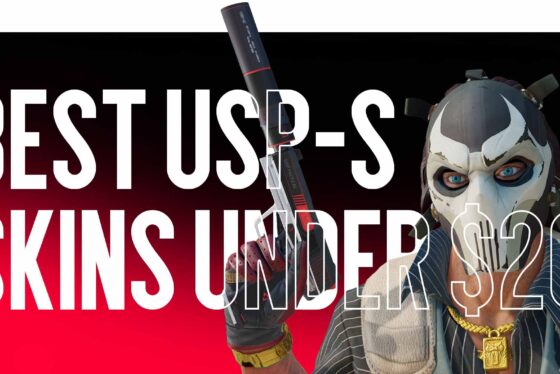 Best USP-S skins under $20